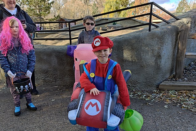 Zoo Boo Bliss! Trick Or Treating, Animals, And Huge Smiles